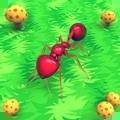 蚂蚁的生活