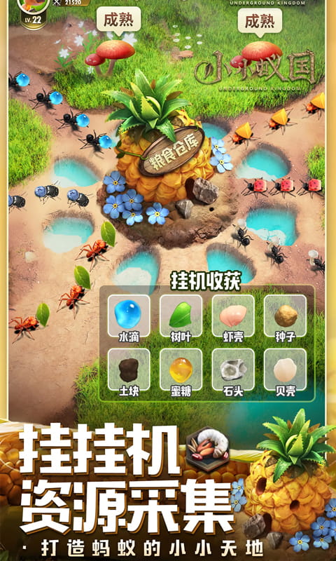 小小蚁国（极速发育版）