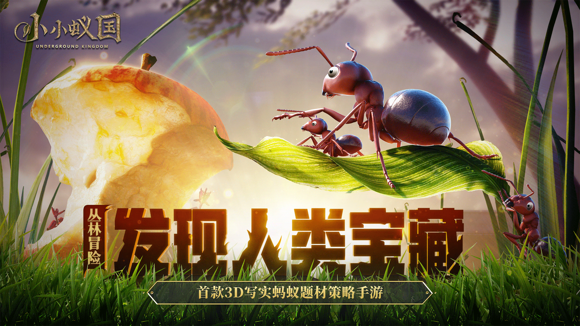 小小蚁国（极速发育版）