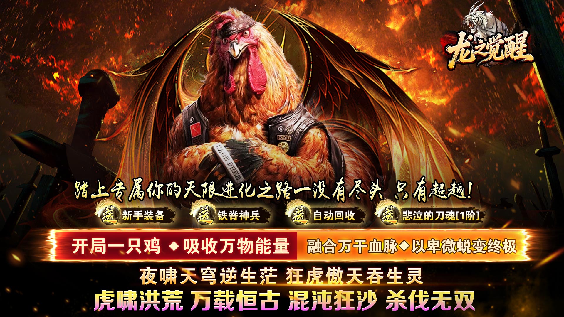 龙之觉醒（虎噬怪物爆爆爆）