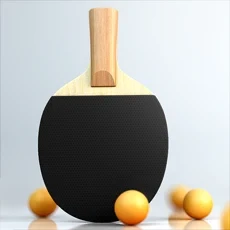 虚拟乒乓球: 随机球拍icon图