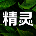 精灵之泉app