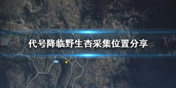 《代号降临》野生杏采集位置怎么样 野生杏采集位置分享