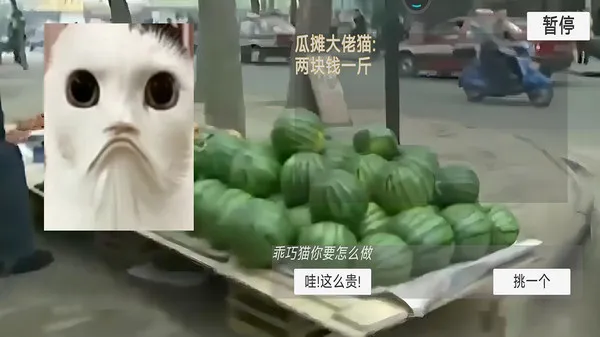 猫meme搞怪冒险手机单机游戏截图一