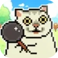 猫狗大对战