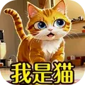 我的猫日记