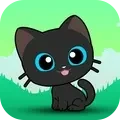 超绝小猫咪