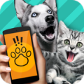 小动物翻译器app