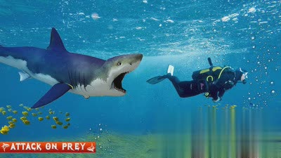 巨齿鲨袭击图三