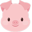 小猪猪OCR文字识别其他软件