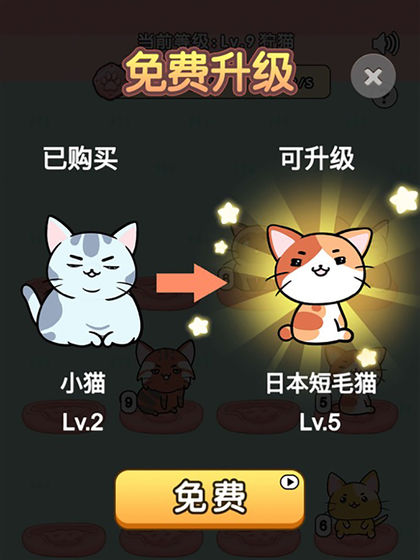 我的小猫