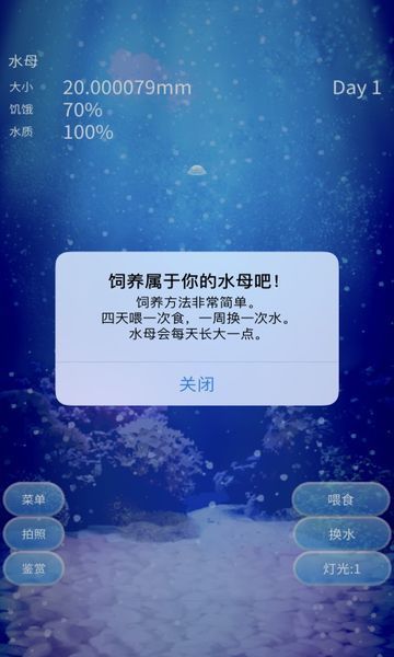 治愈的养成水母游戏