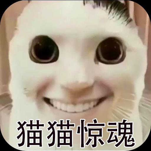 猫猫惊魂中文版破解手机游戏