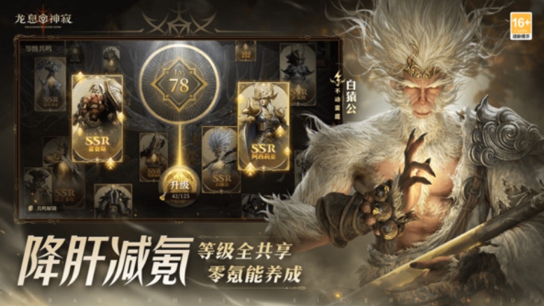 龙息神寂